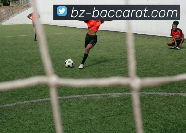 百家乐官网APP 体育赛事宣传图