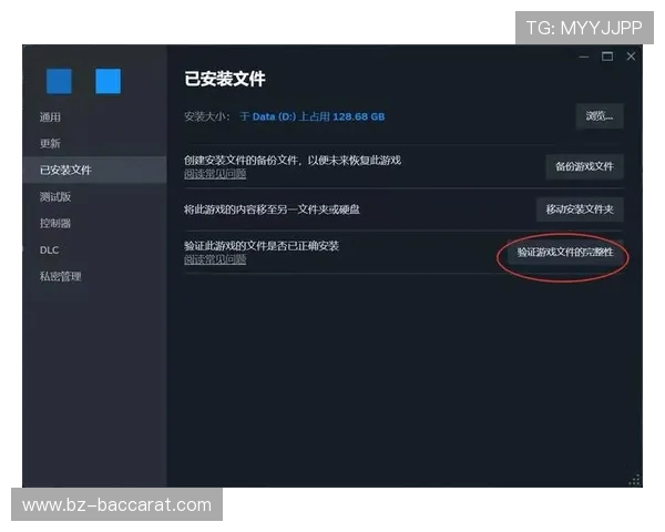 三角洲切屏时游戏界面消失问题解决方案及优化建议